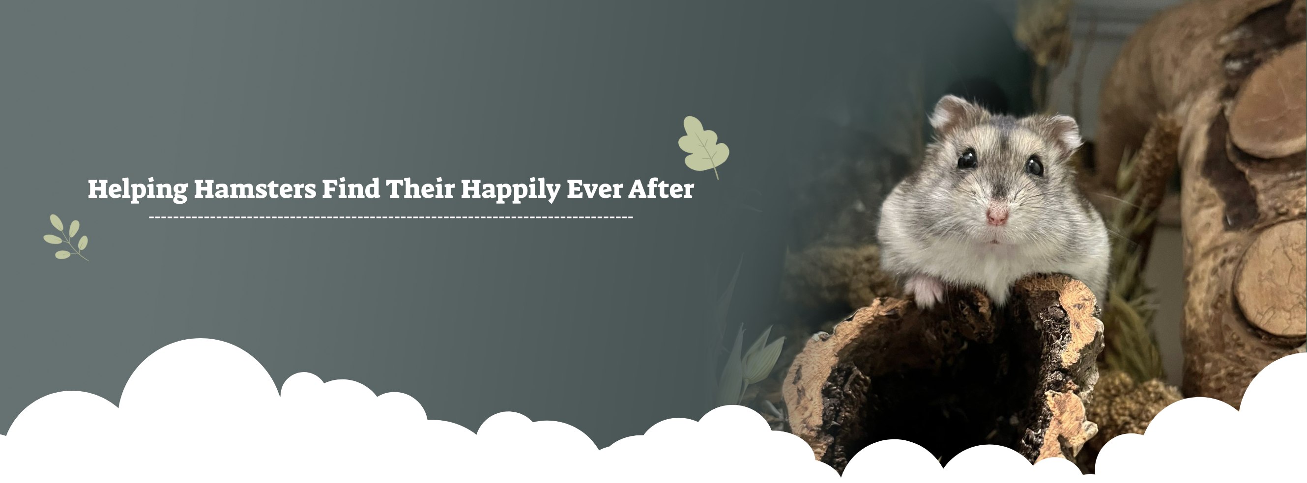 Fable's Hamster Rescue | Northampton