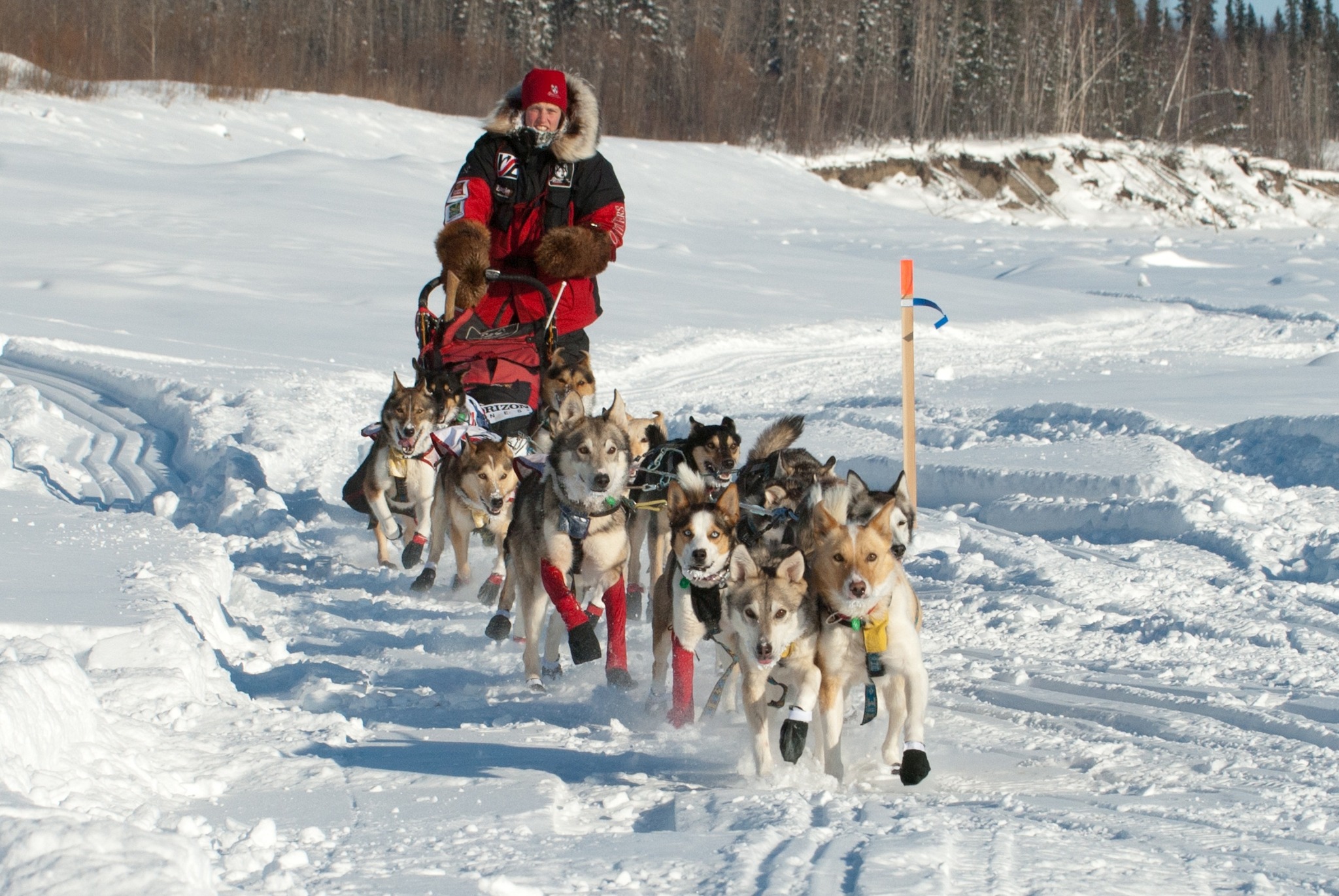 🐕‍🦺 Iditarod Trail Sled Dog Race 2027 ️ Get ready for one of the world ...