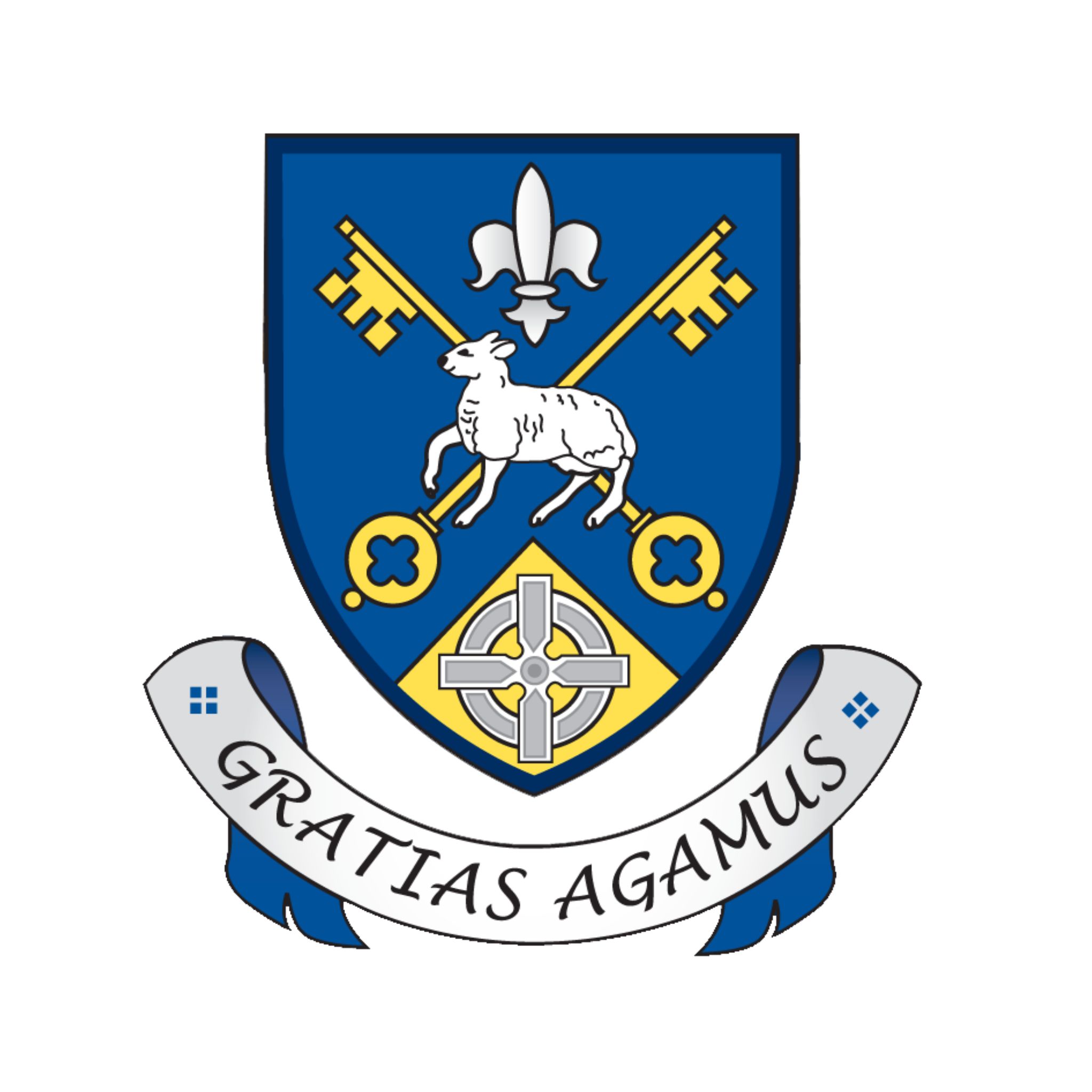 ⭐️ Rowan Kerr... - Our Lady and St Patrick's College, Knock | Facebook