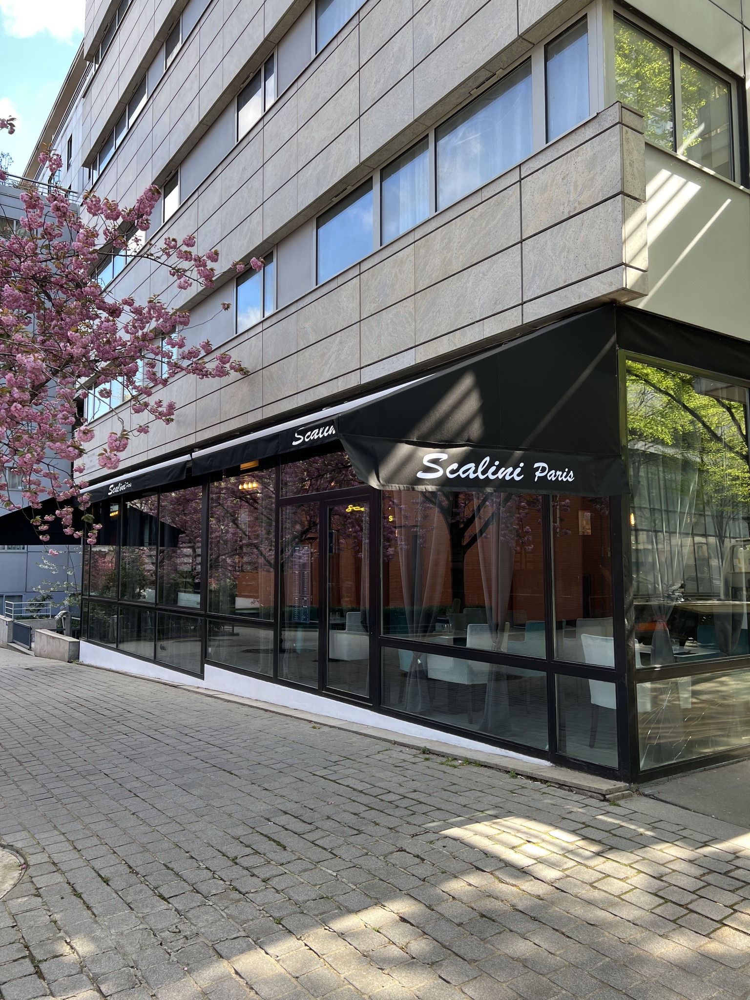 Scalini Paris Avis