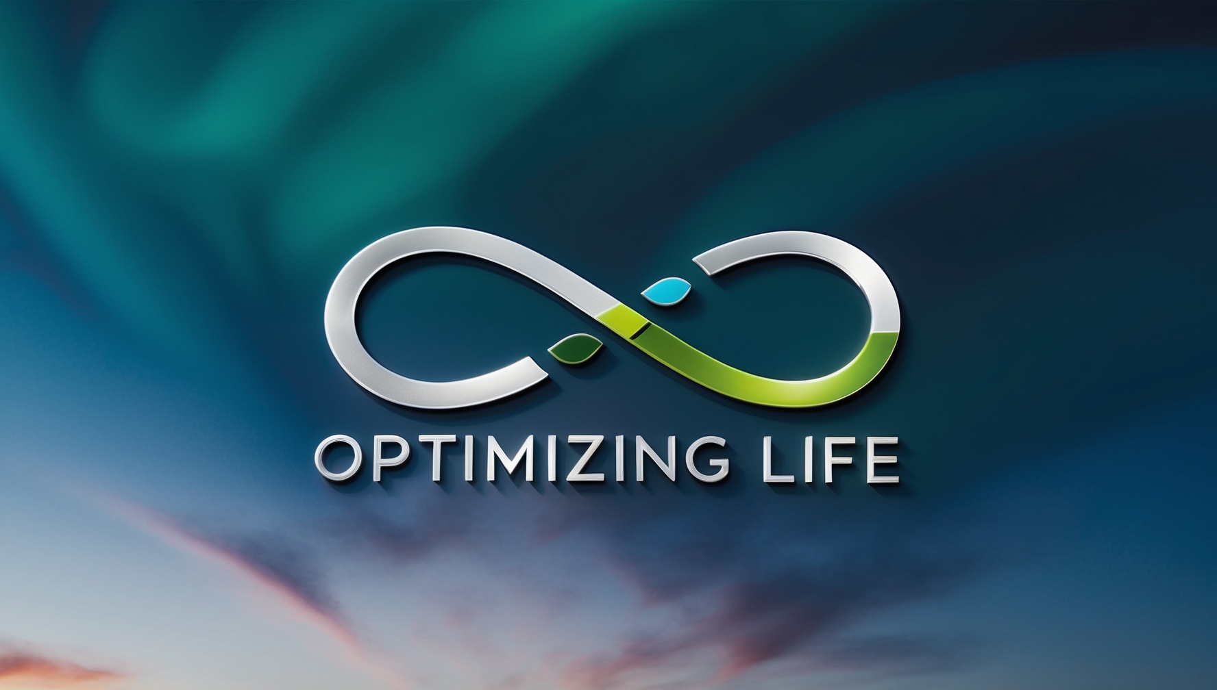 Optimizing Life