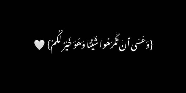 Rana Rashed