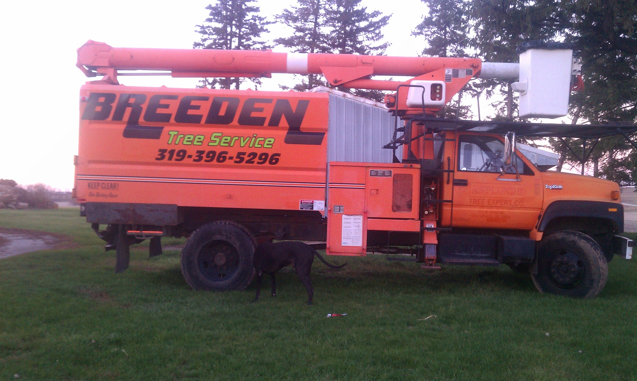 Breeden Tree Service