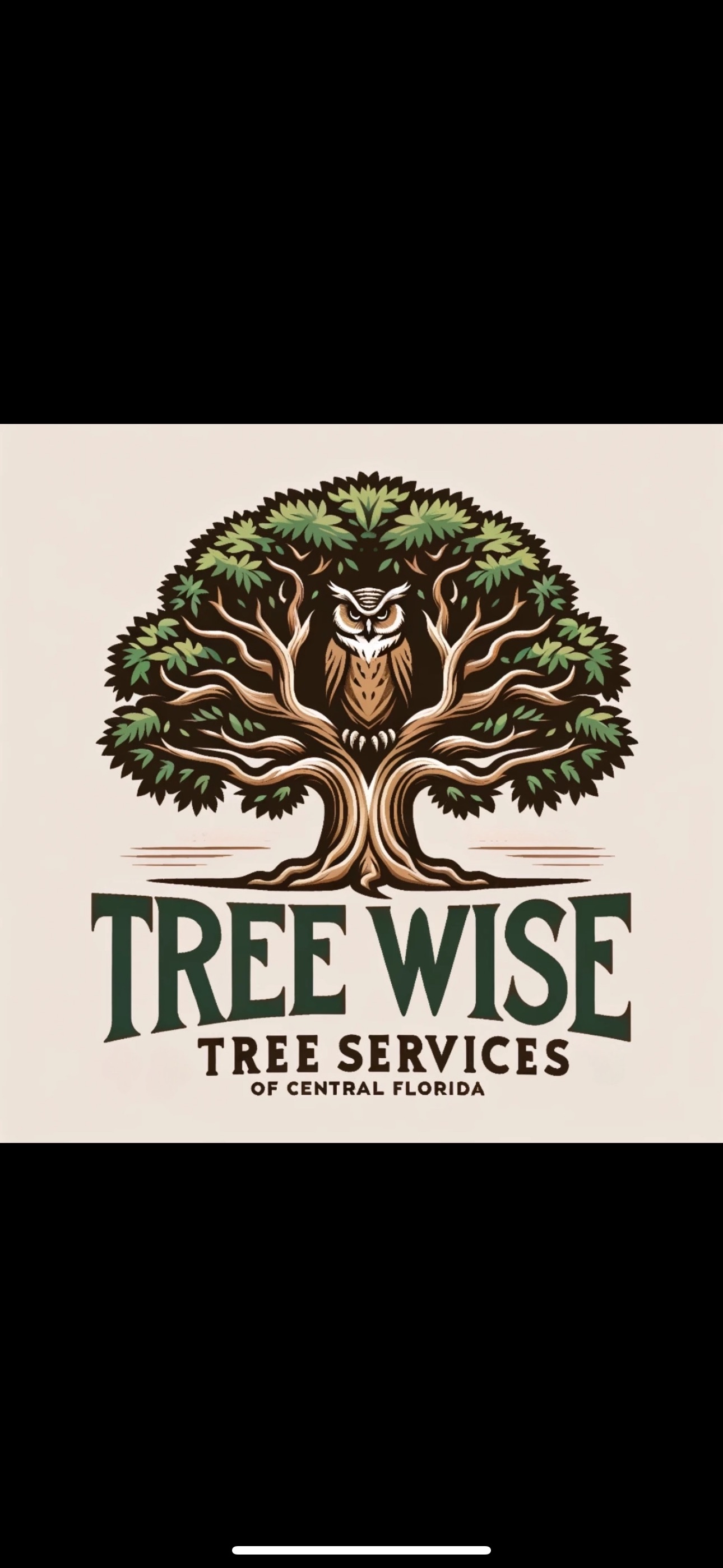 Tree Wise Tree Services of Central Florida, LLC. | Winter Park FL