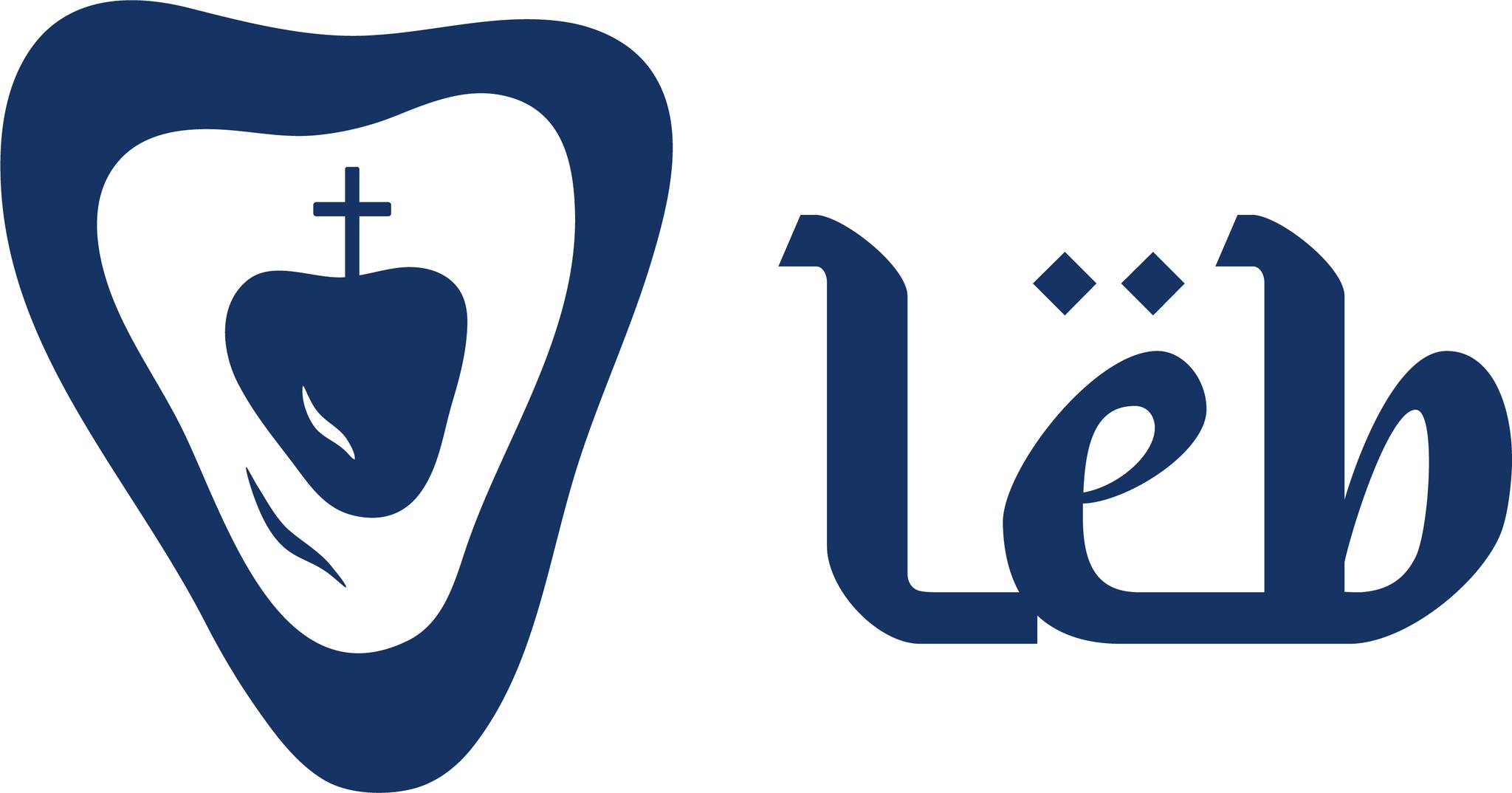 Leb Experience