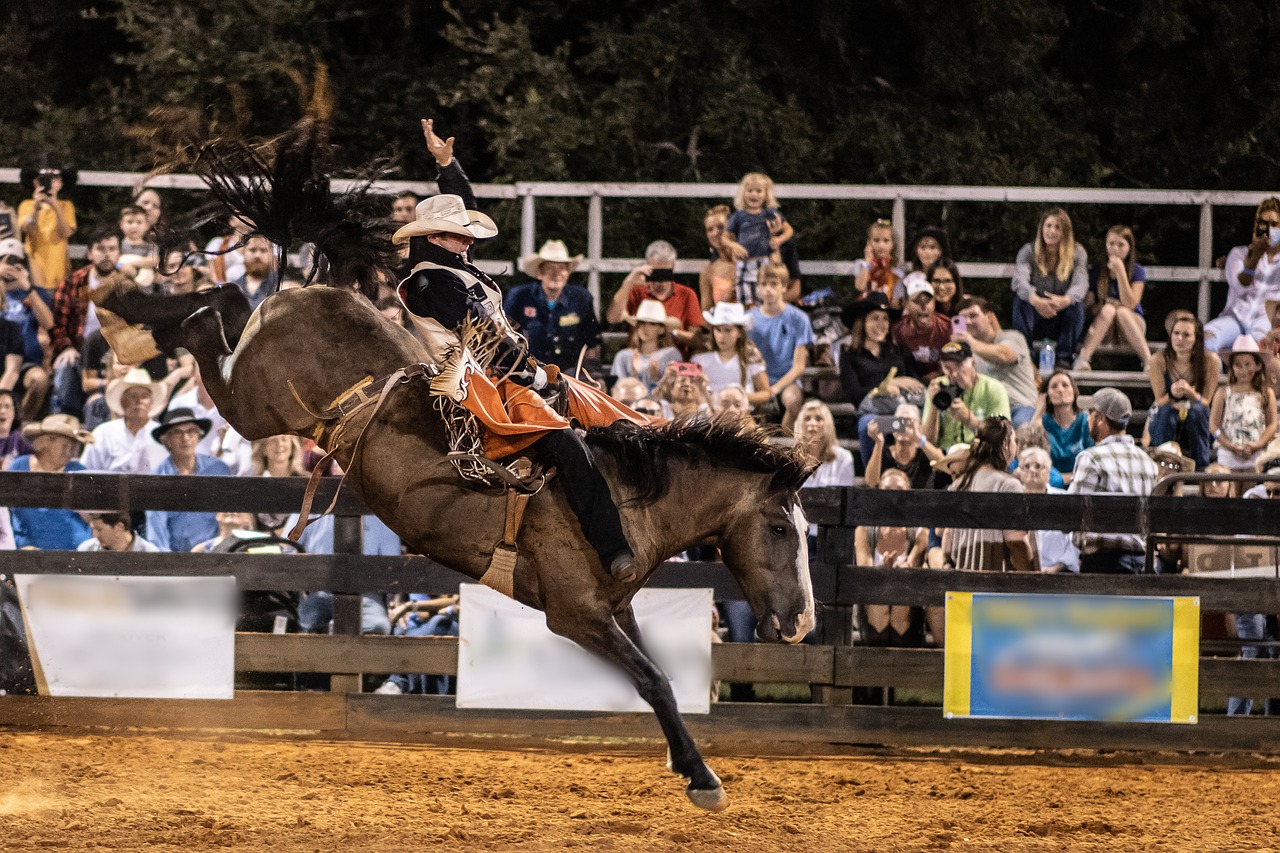 National Rodeo Championships | Ballarat VIC