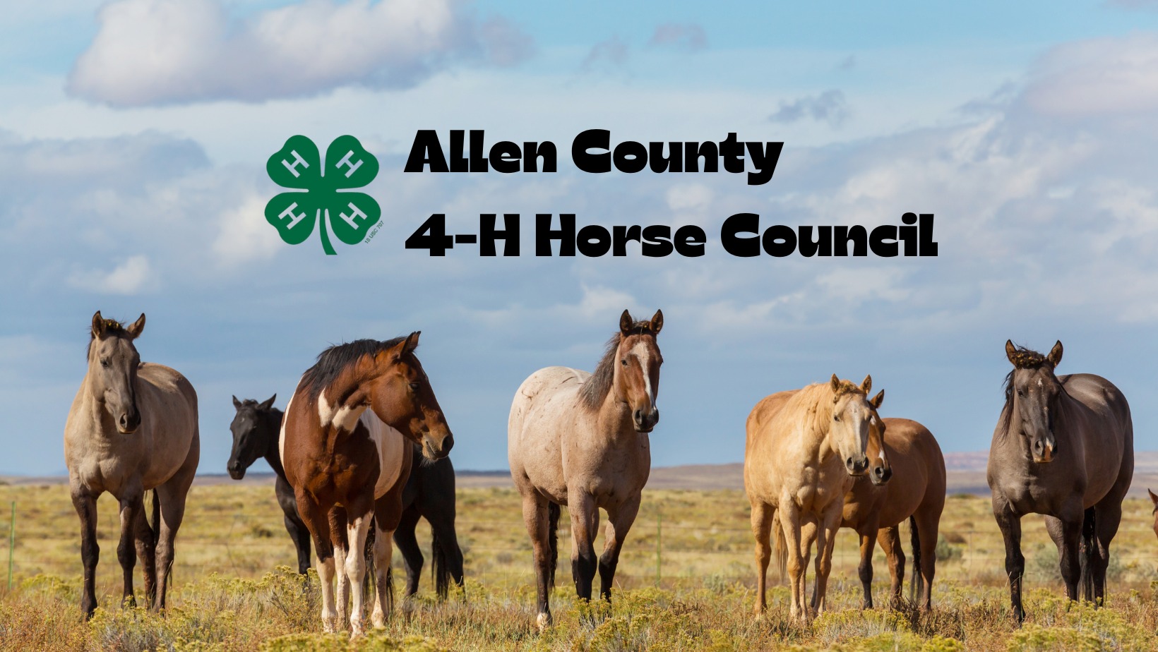 Cal-Cam 4-H Horse Club added a... - Cal-Cam 4-H Horse Club