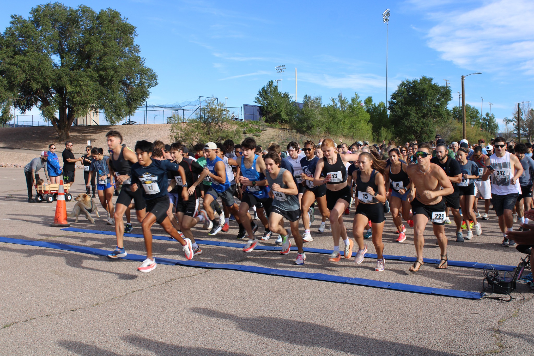 Break Your Neck - Walk Run Roll | Pueblo CO