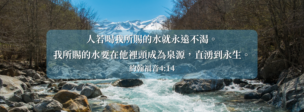谷中清泉