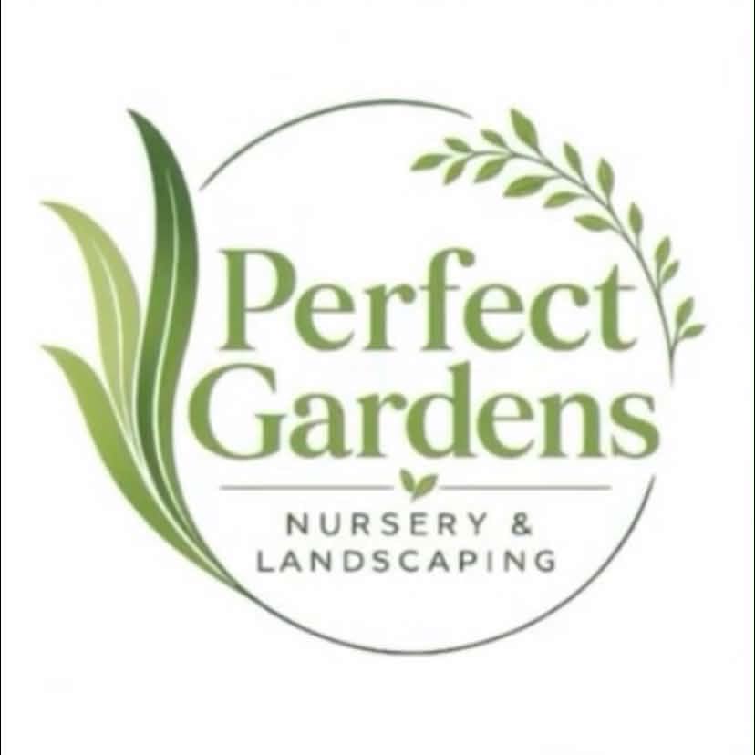 Another weekend and another chance to get stuck into the garden. Spring ...