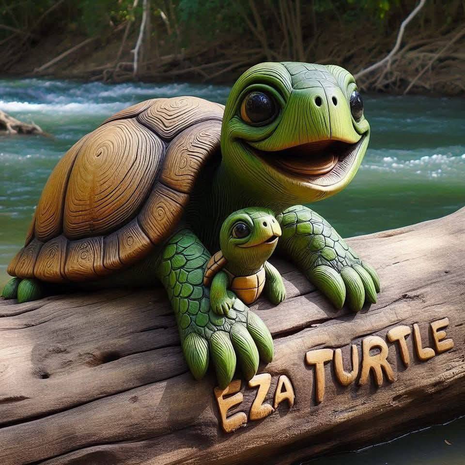 Turtle Lovers on Reels