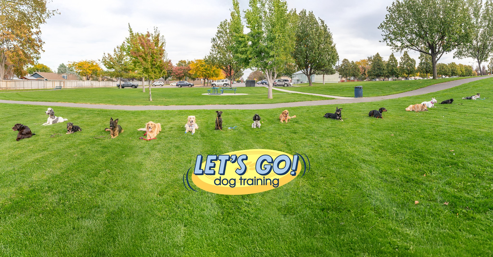 Let's Go Dog Training | Kennewick WA