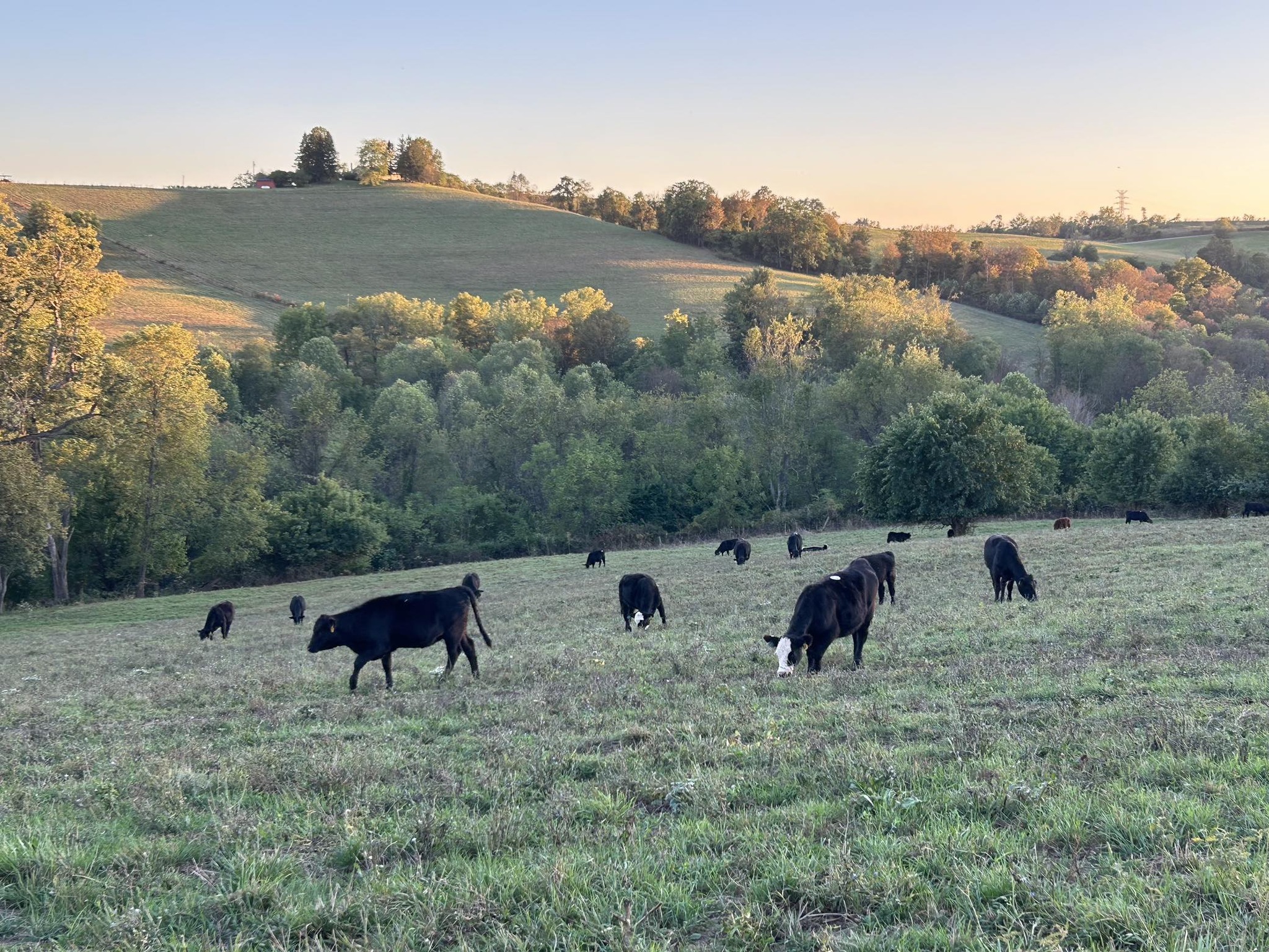 Ry-Ark Farms | Bethany WV