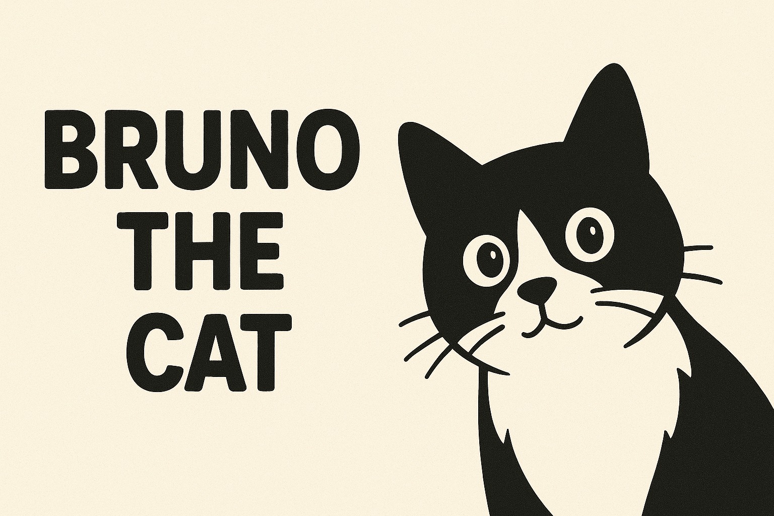 Bruno The Cat