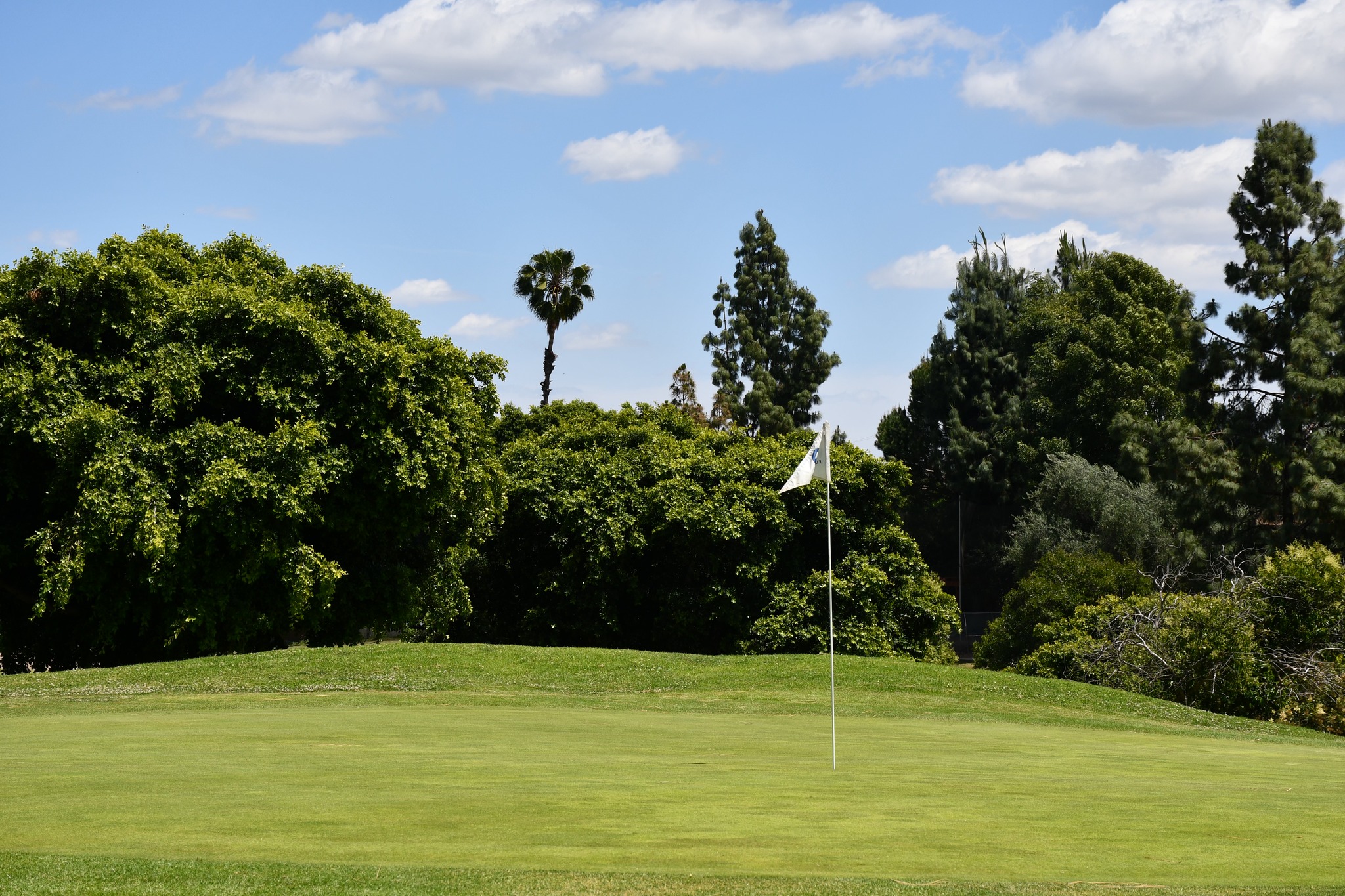 Fullerton Golf Course | Fullerton CA