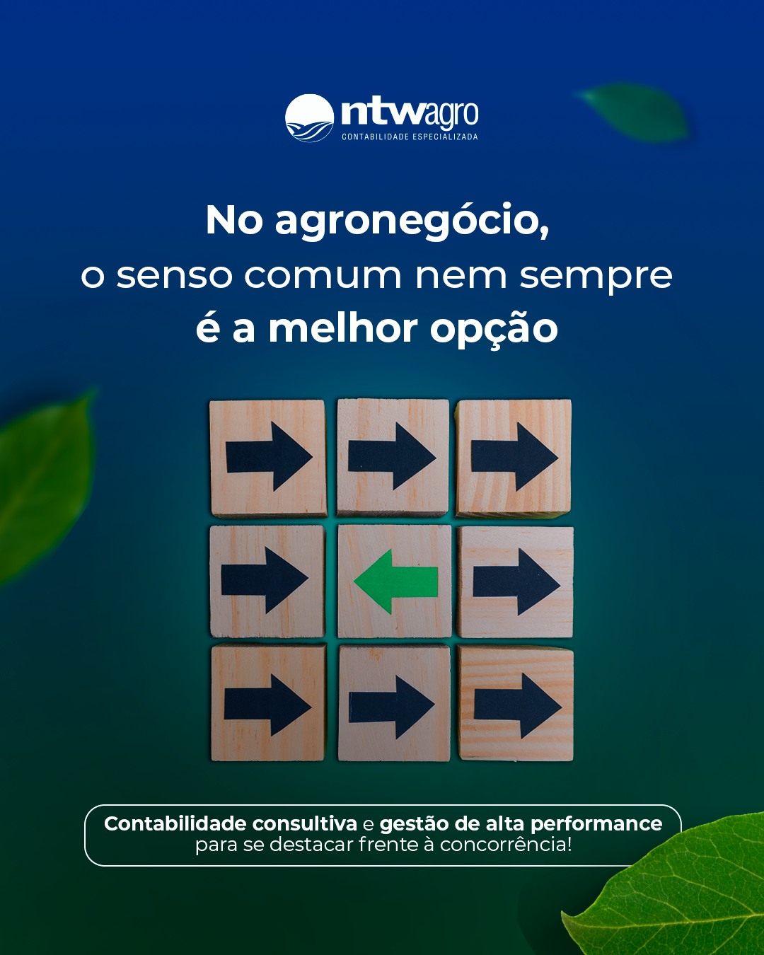 NTW Agro Rio Verde | Rio Verde GO