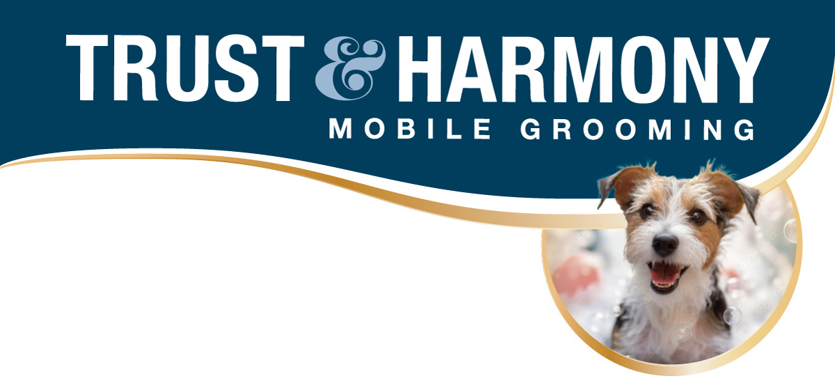 Beautiful view of Grooming Business Team Harmony Building Techniques