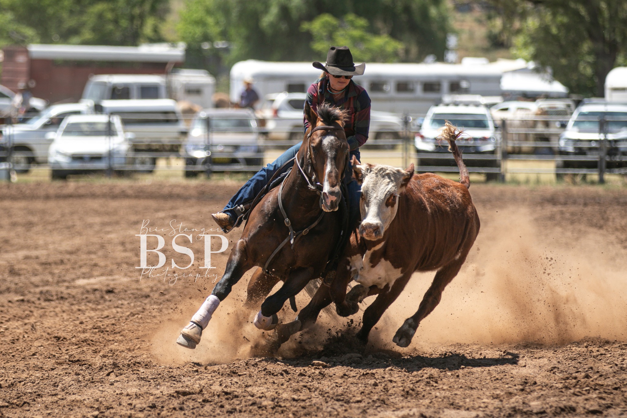 Upper Horton Campdraft & Rodeo
