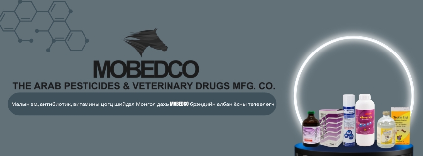 Mobedco Mongolia