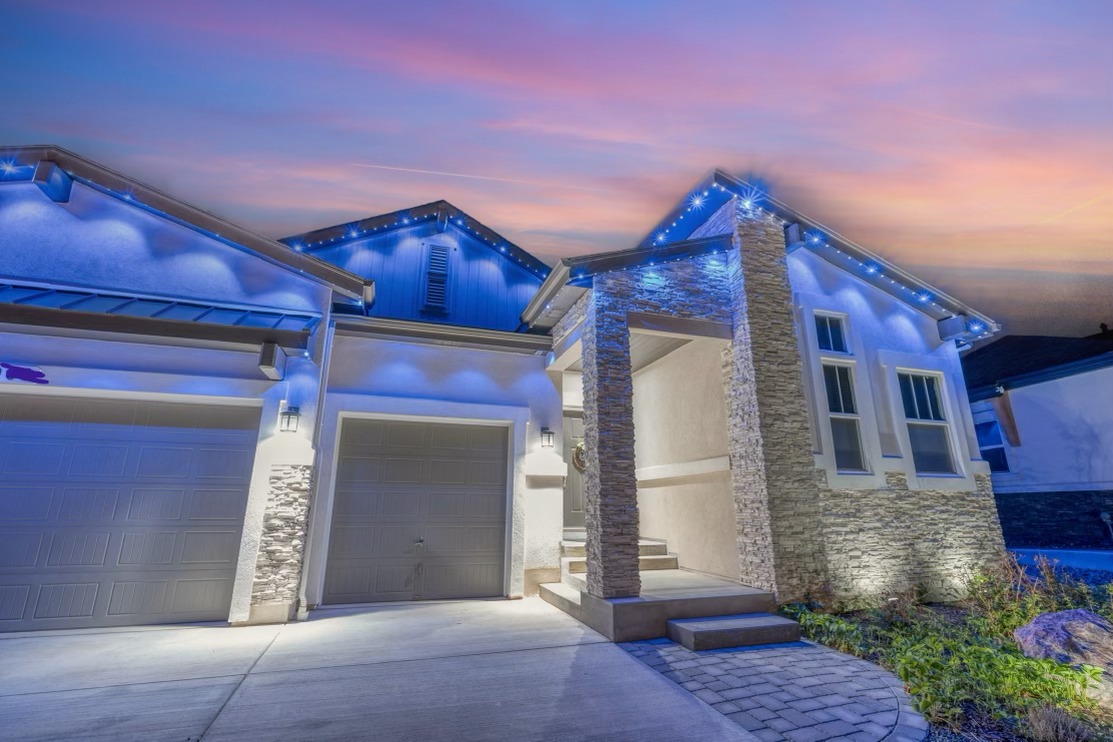 Leatherback Lighting | Longmont CO
