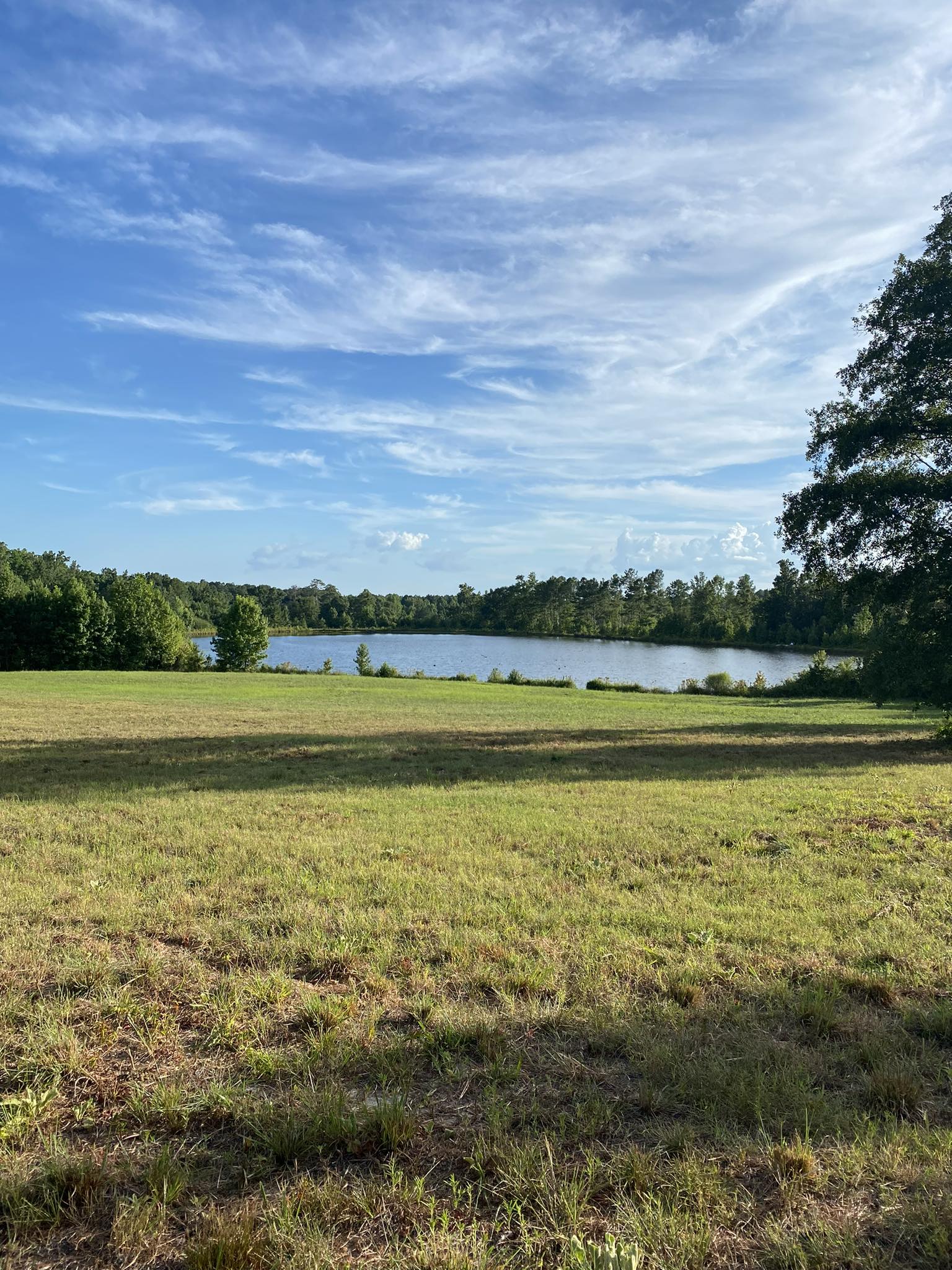 NCB Farms, LLC | Rockingham NC