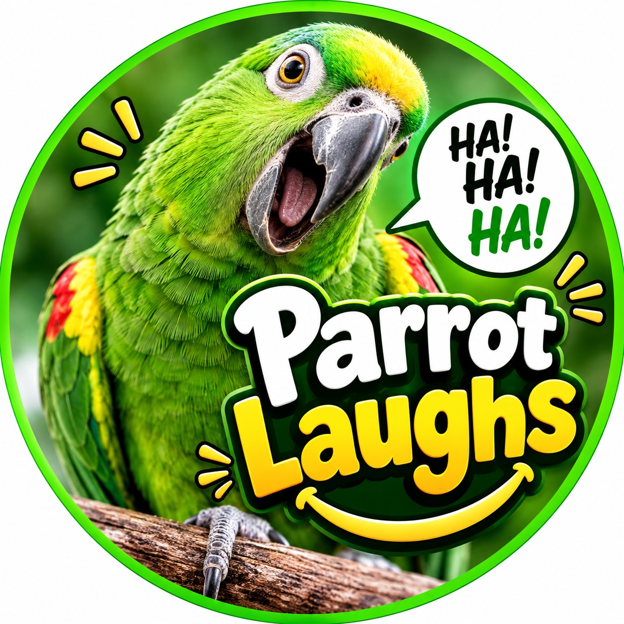 This Parrot Turned a Water Prank Into VIP Service! 😂🦜 One tiny splash ...