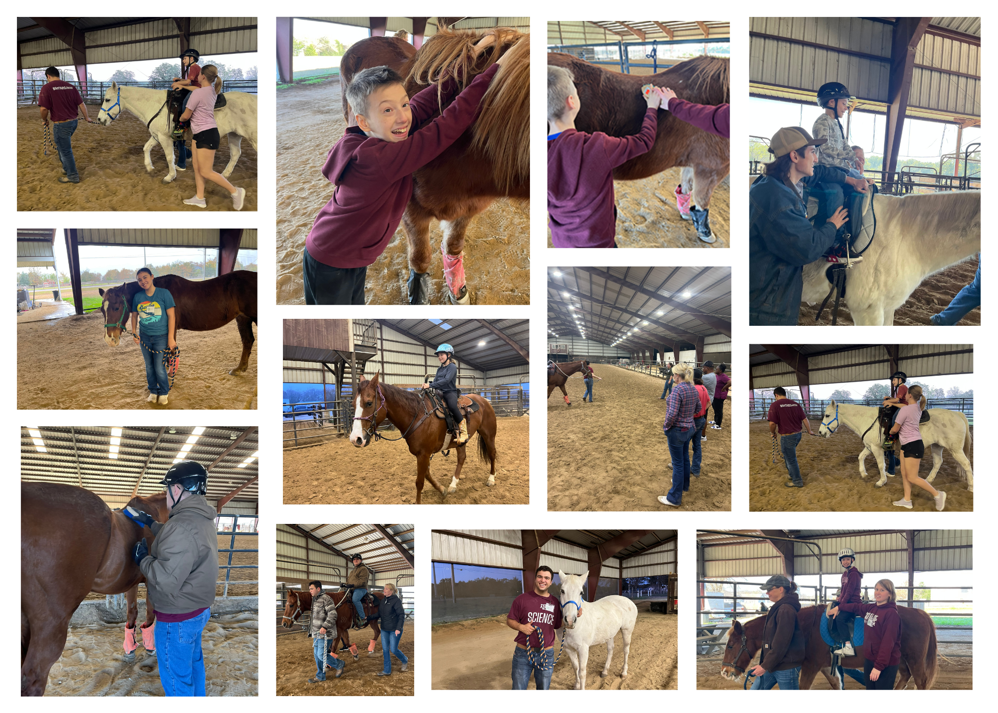 SHR Therapeutic Riding | Bryan TX