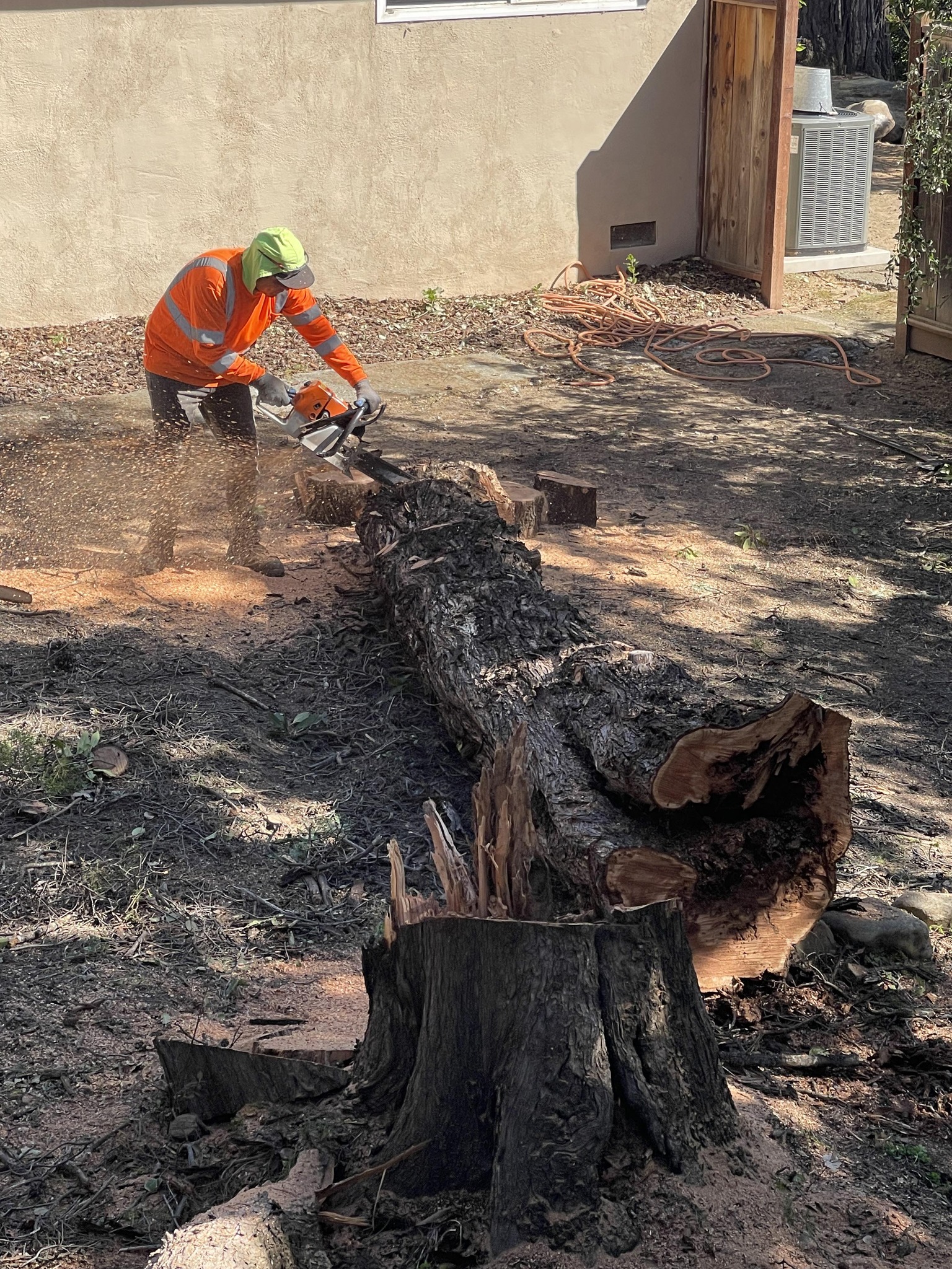 Frontline Tree Service Inc