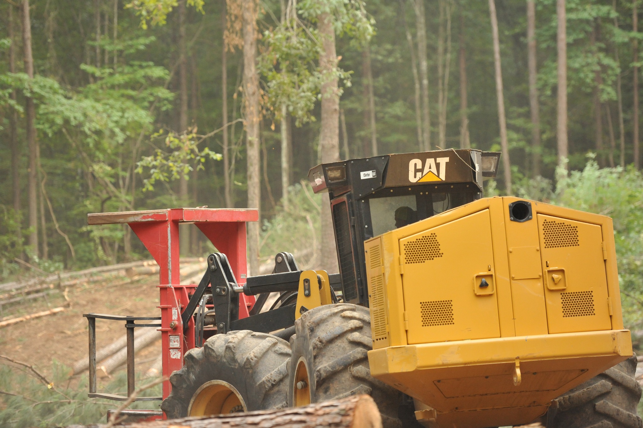 Timber to Pasture Overnight | Birmingham AL