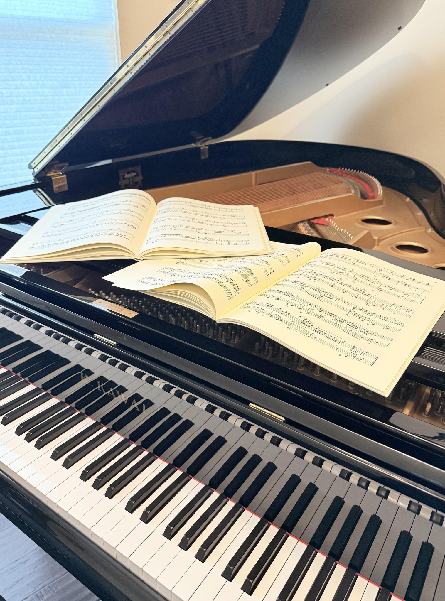 Emma Fernandez - Pianist