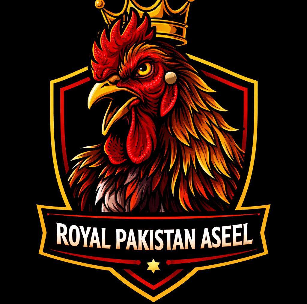 aseel-poultrylife-farmlife-foryou-rooster-aseelfighter