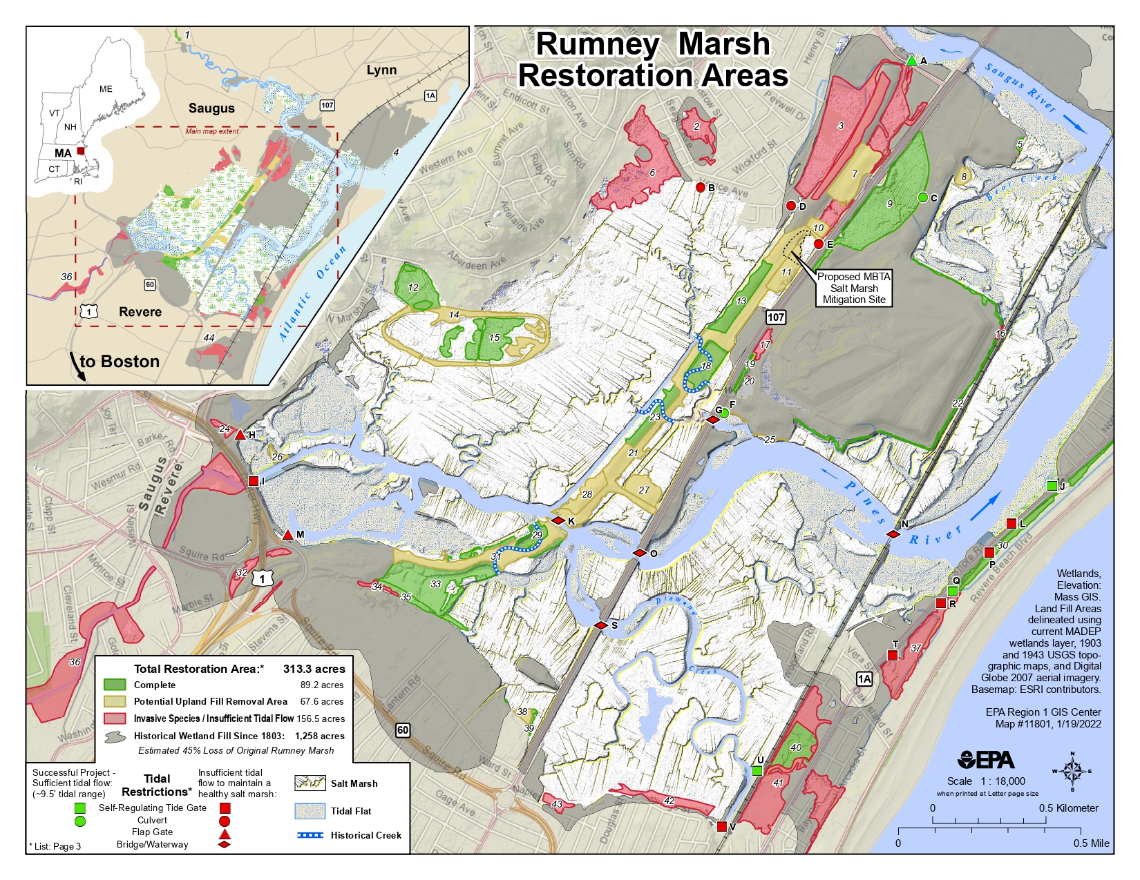 Rumney Marsh Conservancy added... - Rumney Marsh Conservancy