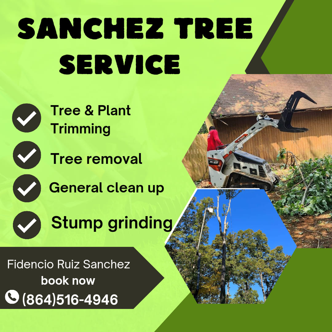 Sanchez TREE Service