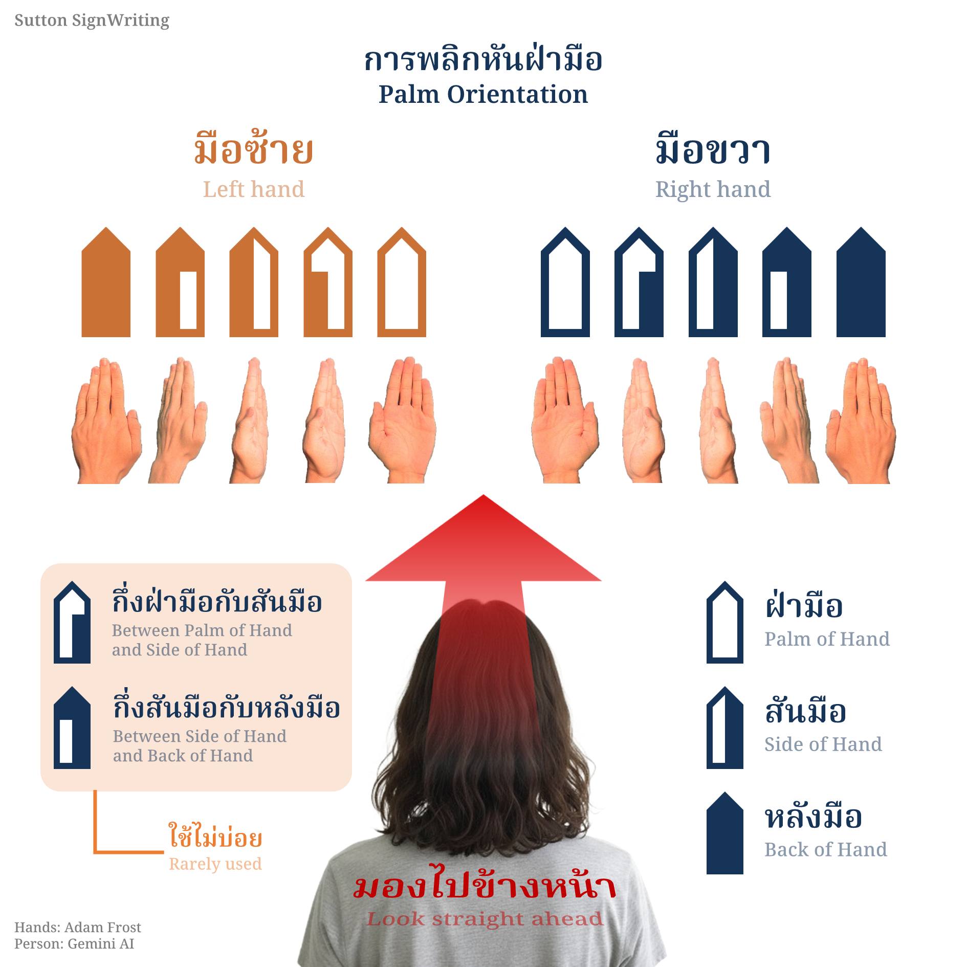 Thai - การพลิกหันฝ่ามือ Palm Orientation | Facebook