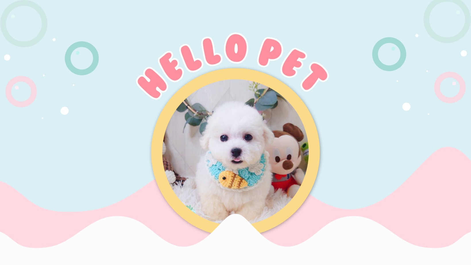 哈柔寵物犬舍