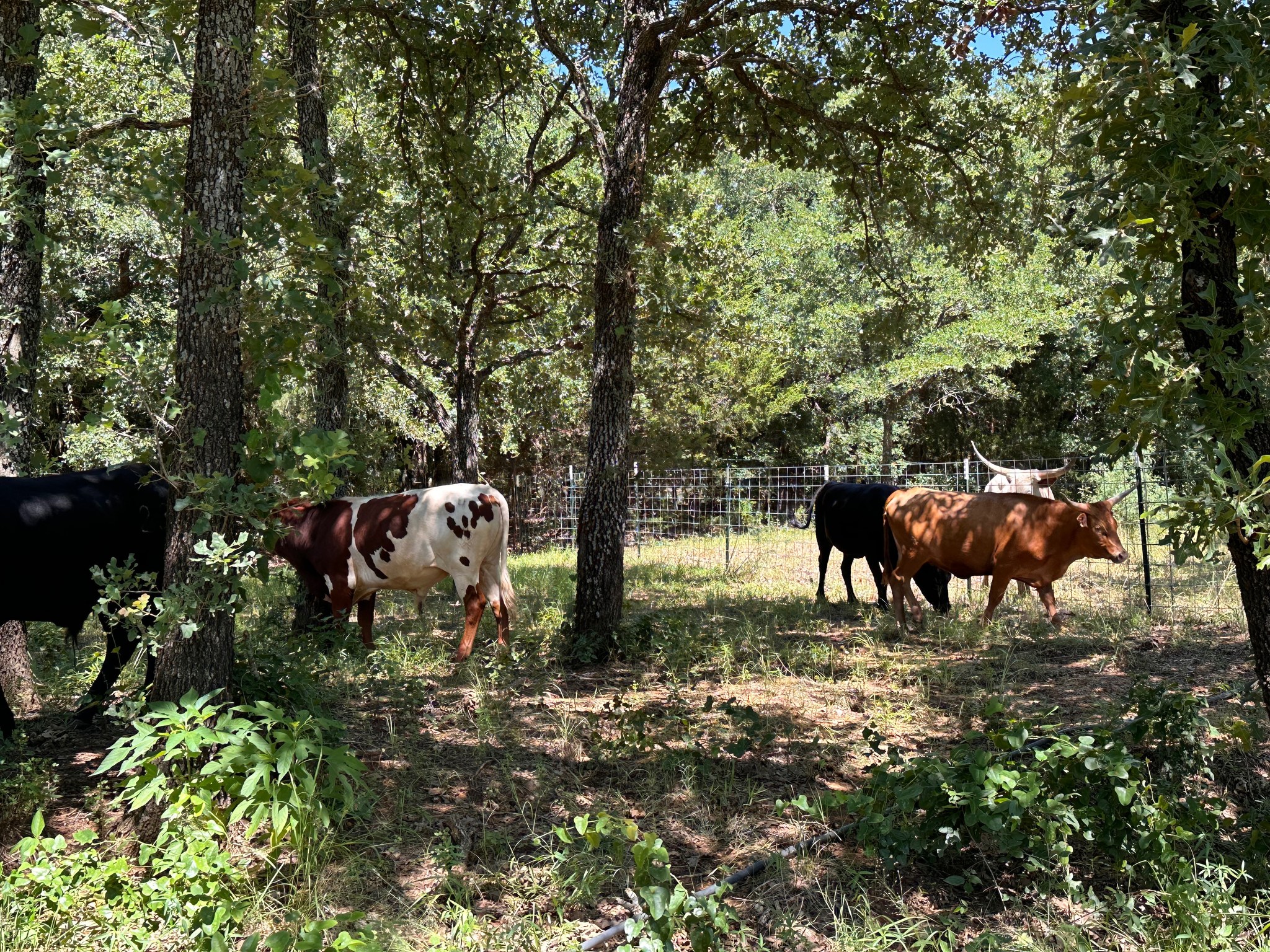 BOI Ranch