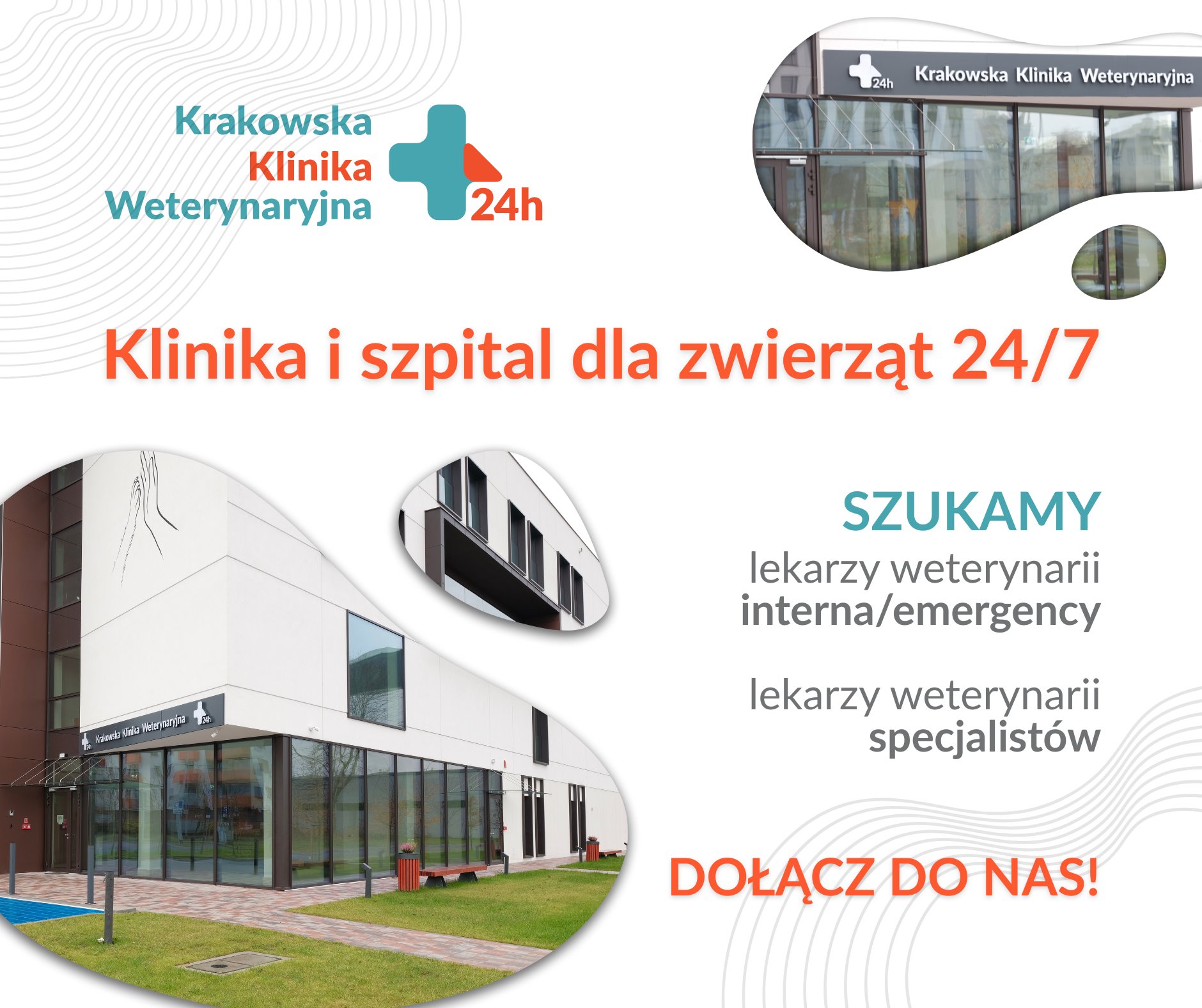 krakowska-klinika-weterynaryjna-krak-w