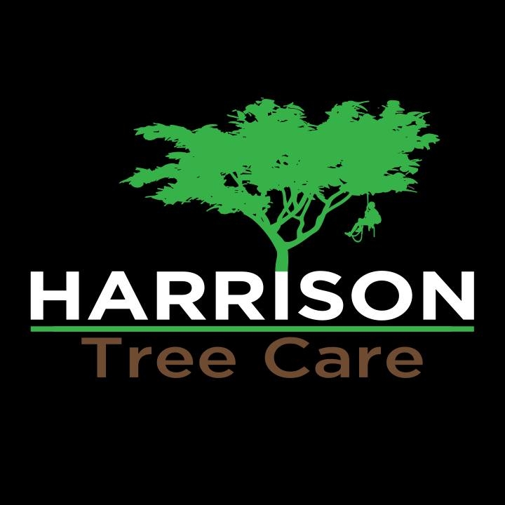 🌳 Sustainable Tree Care for a Greener Tomorrow! 🌿 Anything that has to ...