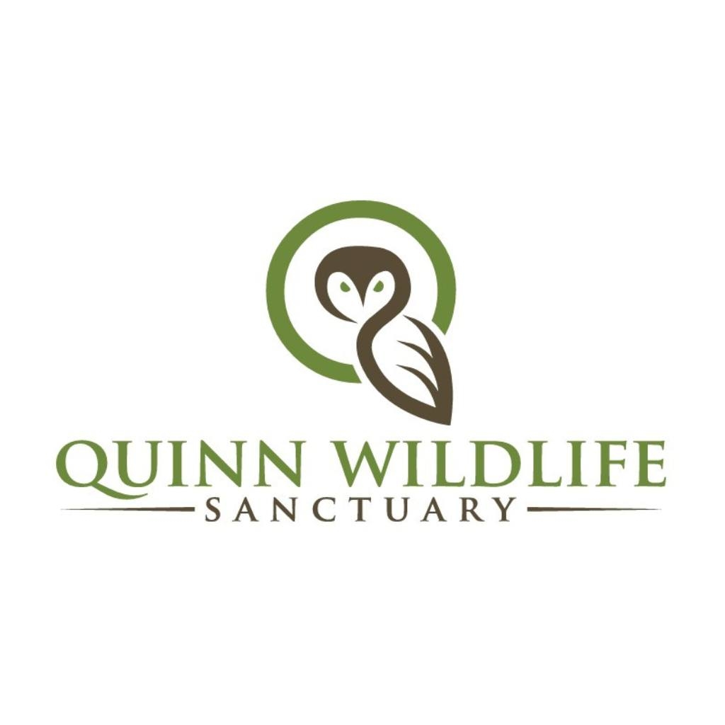 Thank you Auburn University Raptor Center! 🦅 They rehabilitated these ...