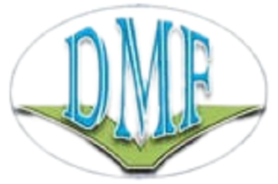 Dynamic Microfinance Institution