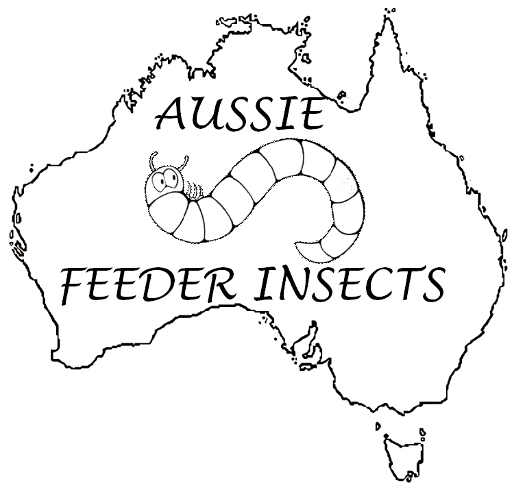 Curated visual reference: Availability Of Feeder Insects Reference: Aussie Feeder Insects