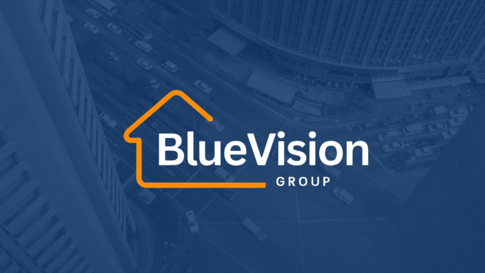 Blue Vision Group
