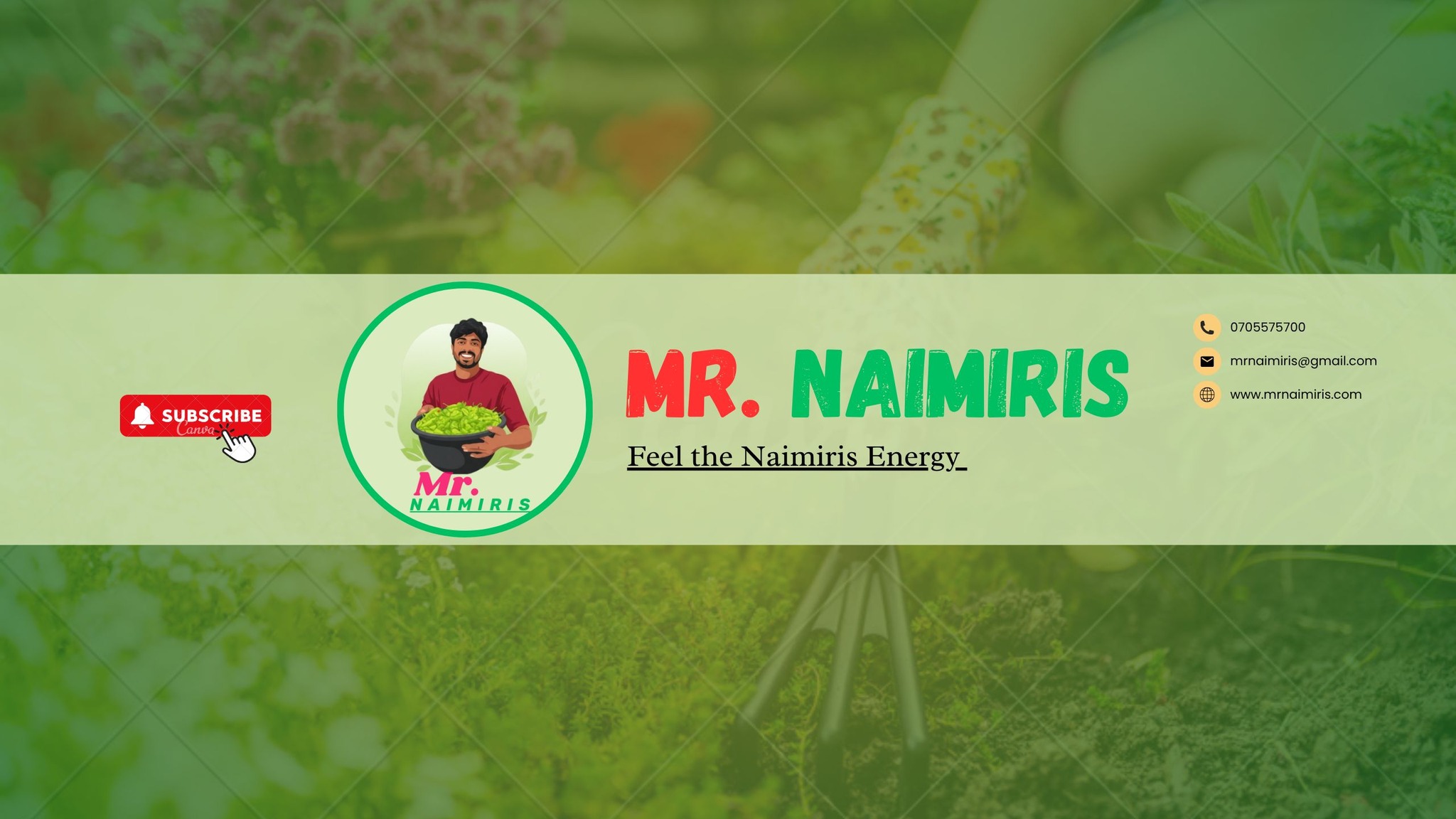 Mr. Naimiris