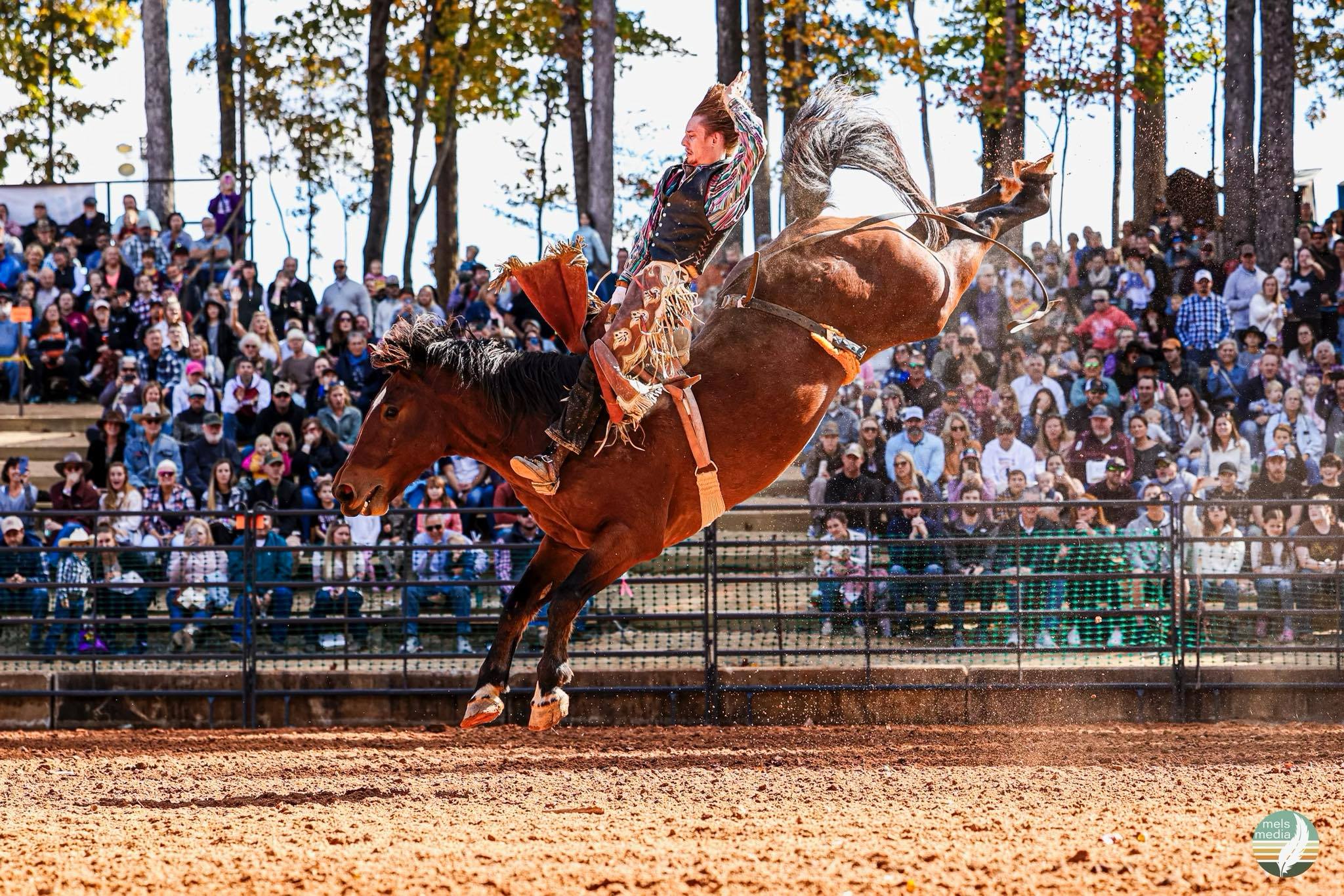 New Classic Pro Rodeo live 2024 | Facebook