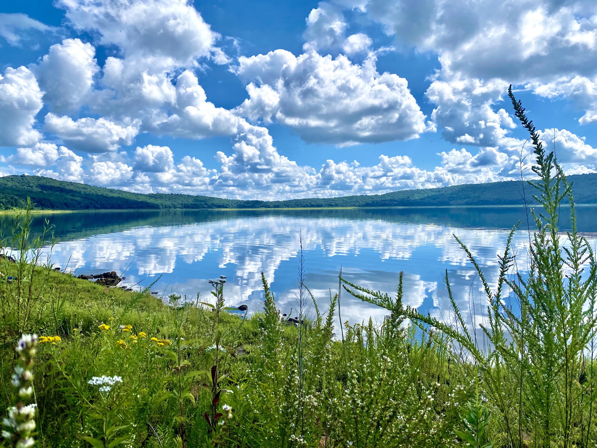 Mindful Wellness Counseling | Branchburg NJ