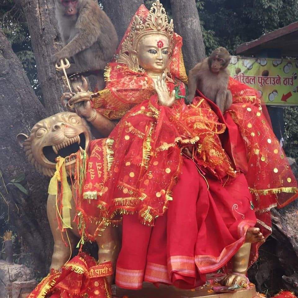 Pathivara-पाथीभरा | Facebook