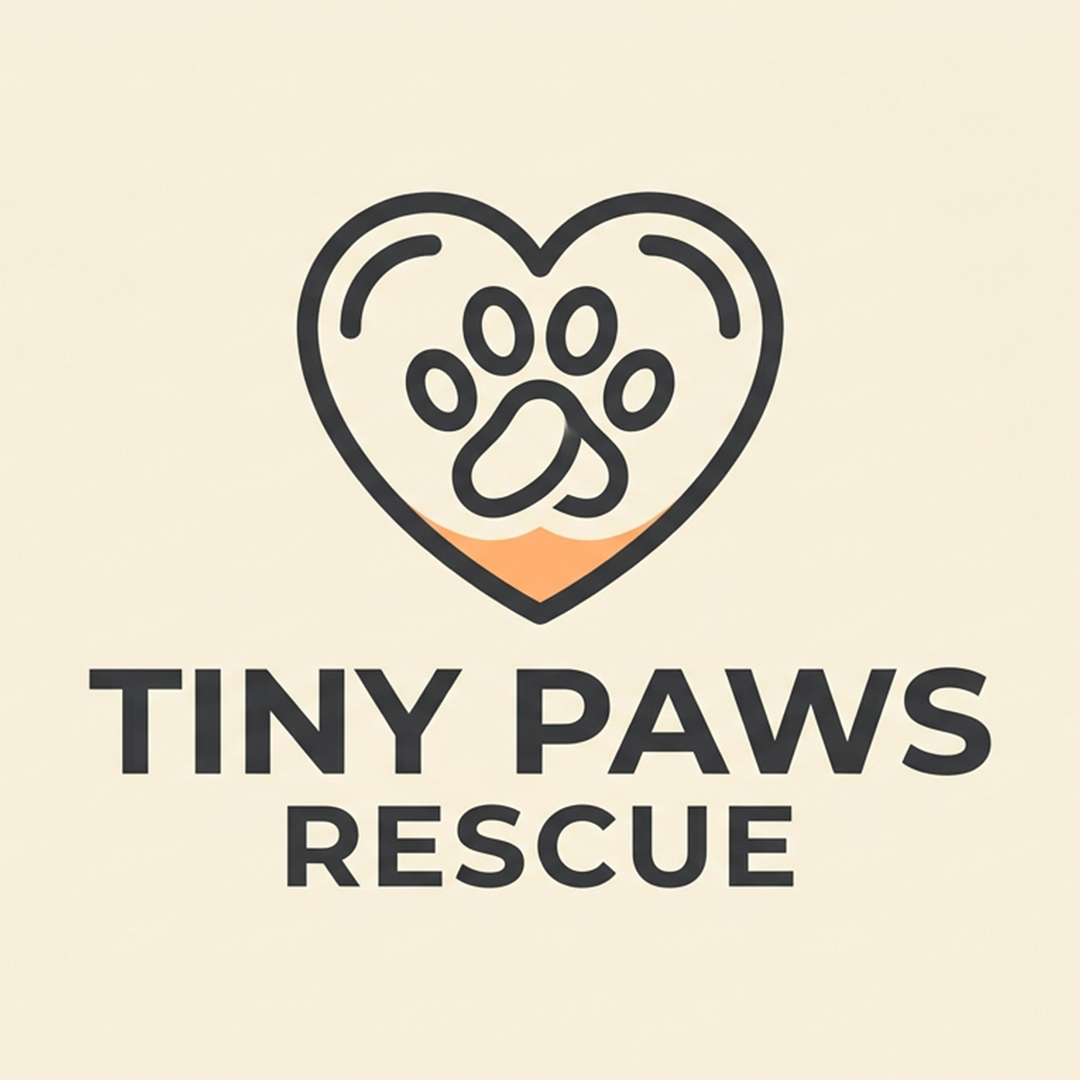 Would you have the courage to save this little kitten? 🥹🐾 #KittenRescue ...