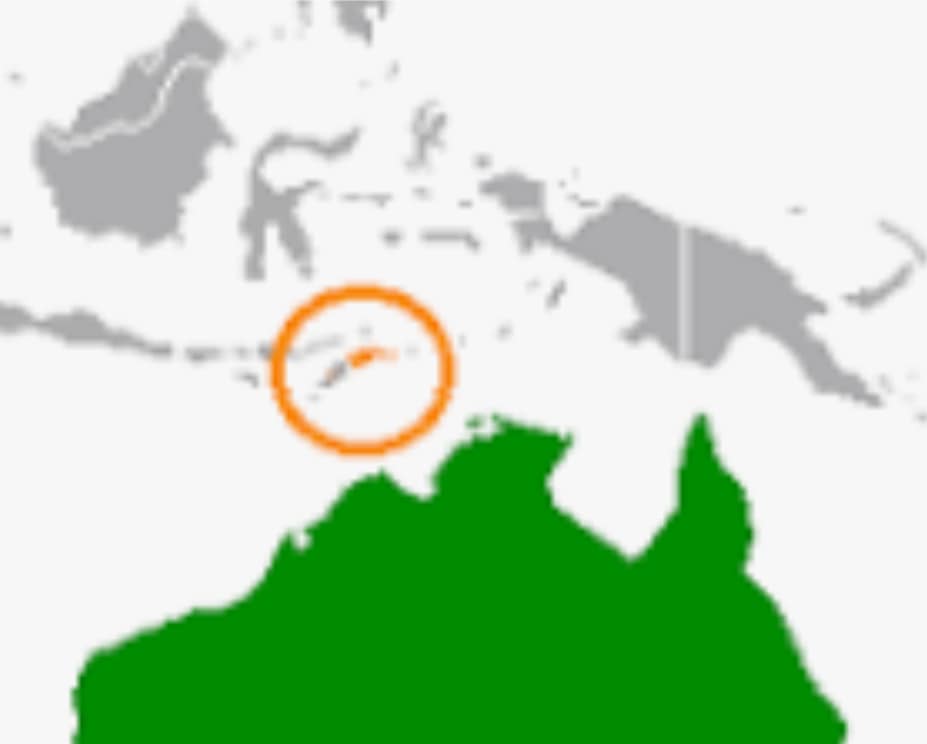 Timor Leste is... - Sydney Rotary Friends of Timor Leste | Facebook