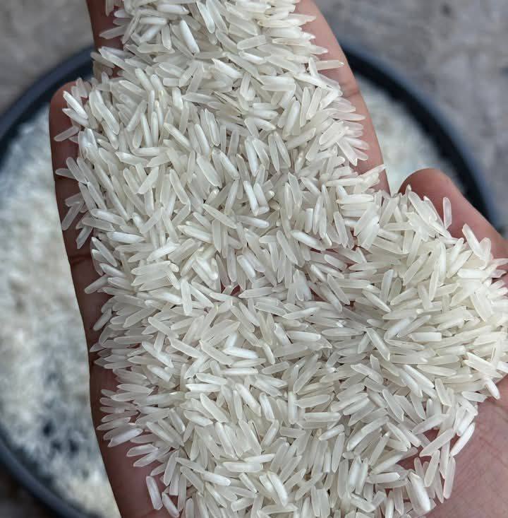 Rk Rice update