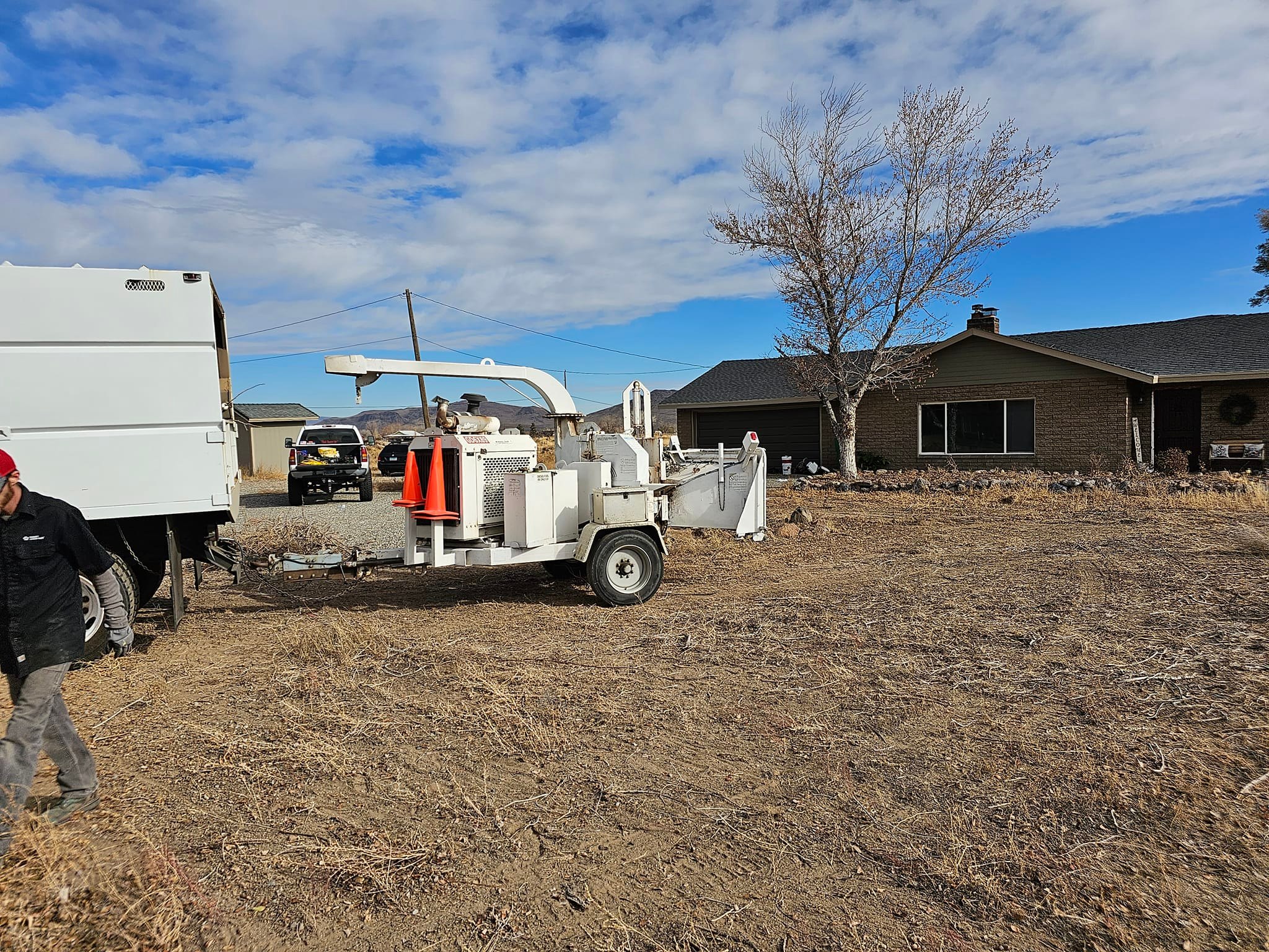 Dayton Valley Tree Service | Dayton NV